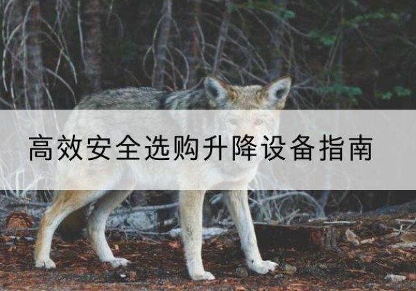泗阳升降货梯厂家推荐-*安全选购升降设备指南
