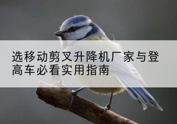 泗阳电动升降机厂家-选移动剪叉升降机厂家与登高车必看实用指南