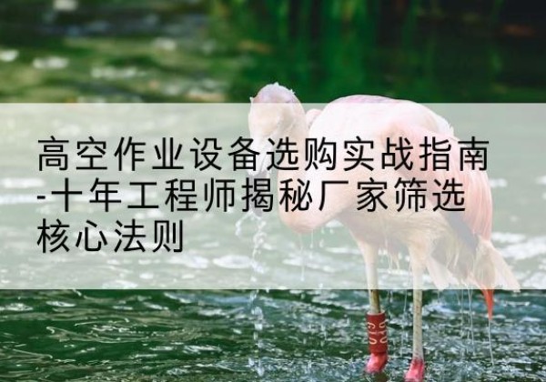 泗阳剪叉式升降机厂家-高空作业设备选购实战指南-十年工程师揭秘厂家筛选核心法则