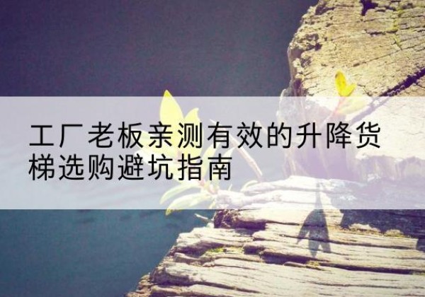 泗阳升降货梯怎么选-工厂老板亲测有效的升降货梯选购避坑指南